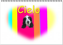 Cielo